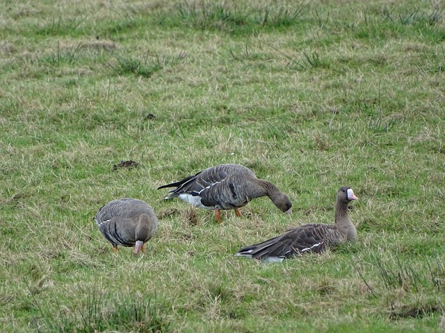 球員起到穩 球員起到穩
