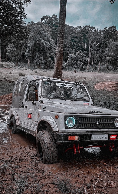 在过去五年 在过去五年