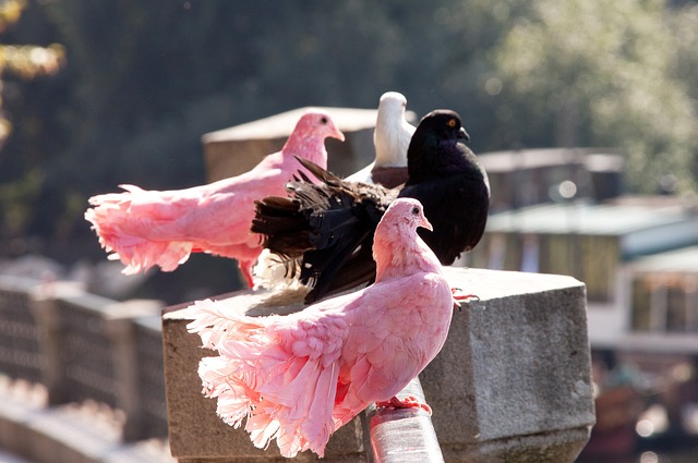 这样的优势 这样的优势