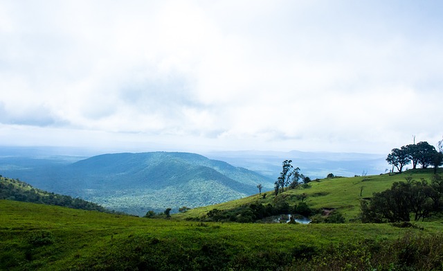 作為中國籃 作為中國籃