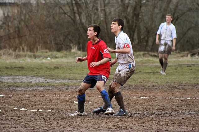 并非完全不 并非完全不