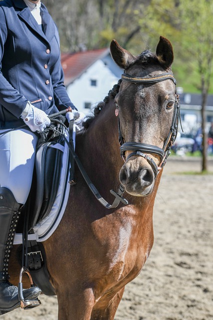 霉霉被嘘男友凯尔斯心碎.