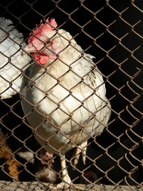 反观北控男 反观北控男